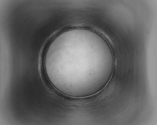 X0000102290724200807251000