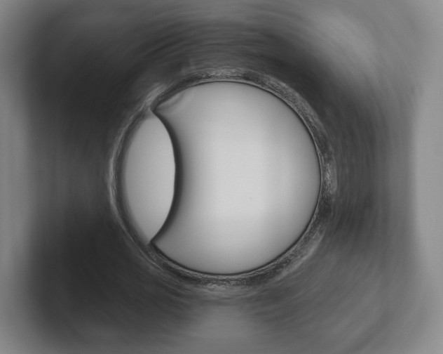 X0000102290725200807251000