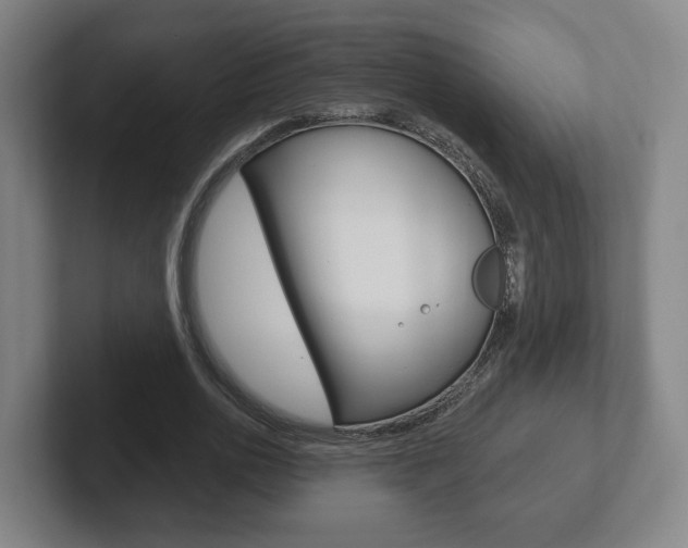 X0000102290726200807251000
