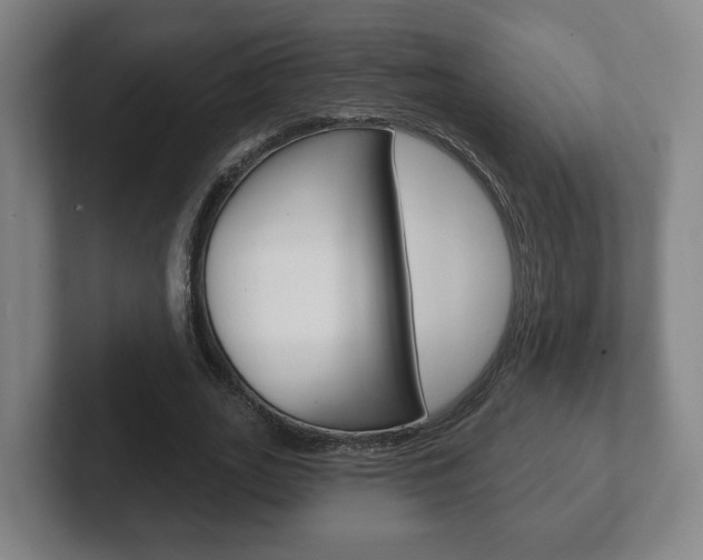 X0000102290727200807251000