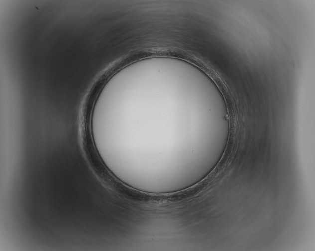 X0000102290728200807251000