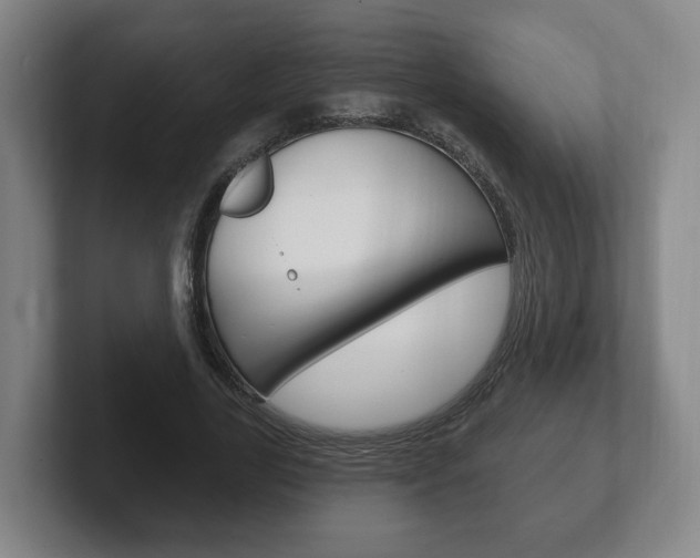 X0000102290731200807251000