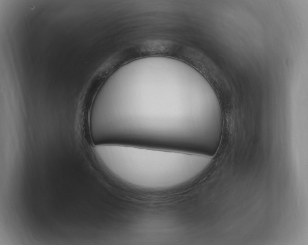 X0000102290735200807251000