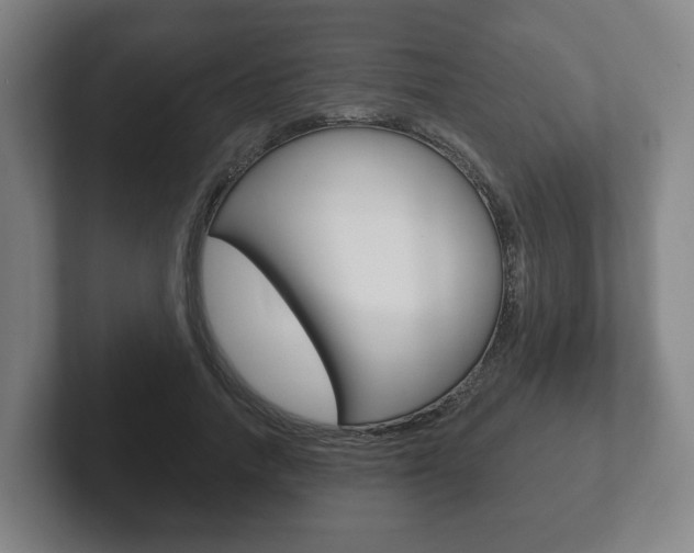 X0000102290738200807251000