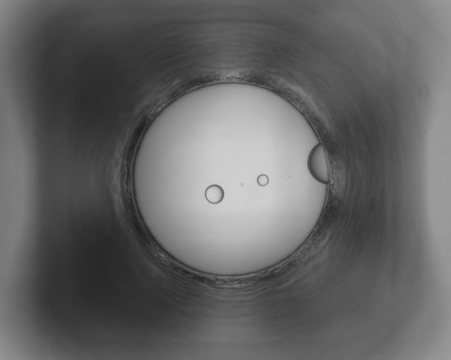 X0000102290740200807251001