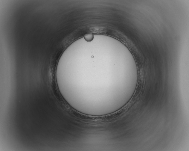 X0000102290741200807251001