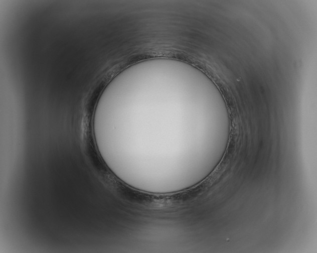 X0000102290744200807251001