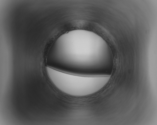 X0000102290750200807251001