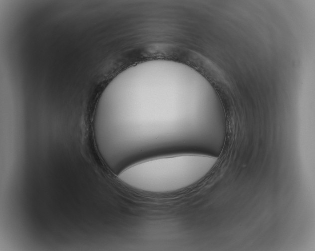 X0000102290751200807251001