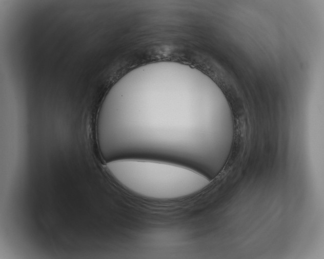 X0000102290754200807251001