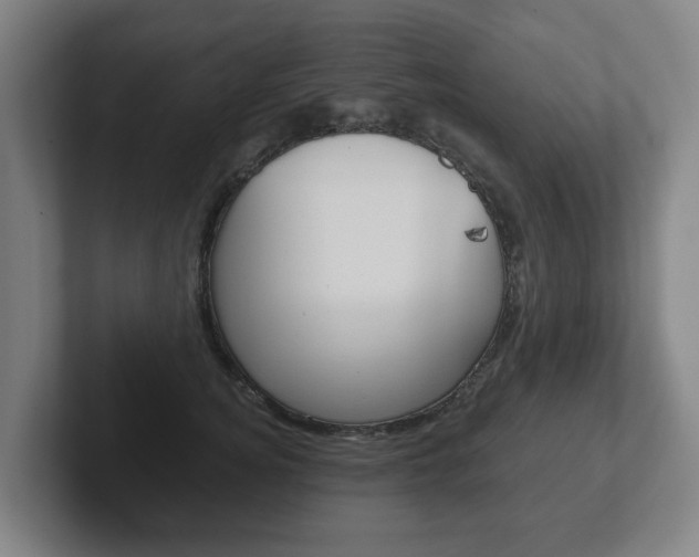 X0000102290756200807251001