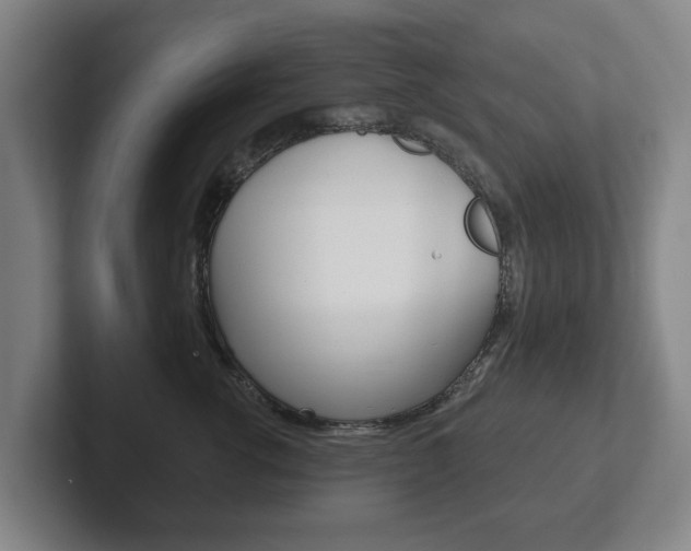 X0000102290762200807251001