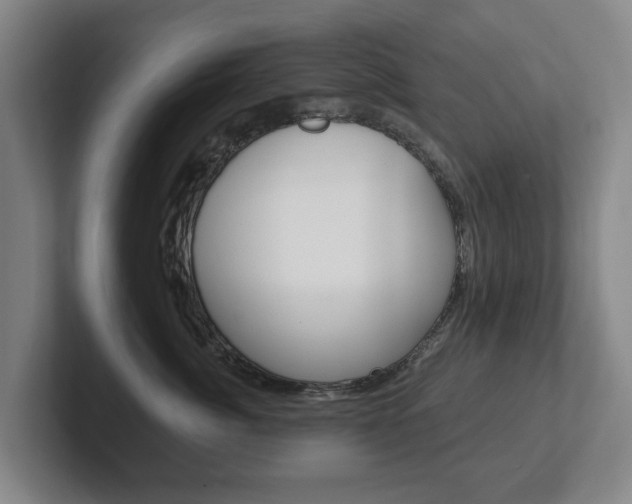 X0000102290764200807251001