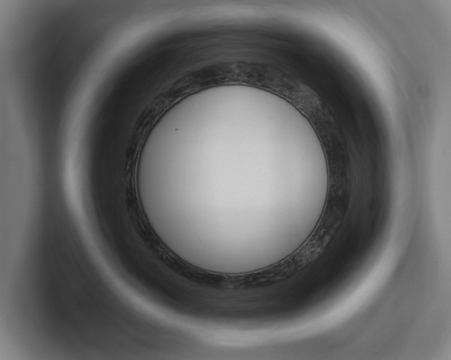 X0000102290766200807251001
