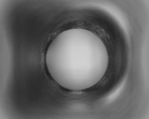 X0000102290767200807251001