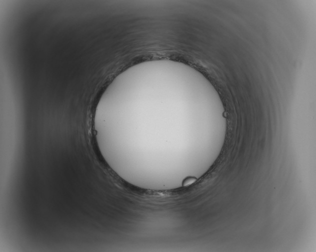 X0000102290768200807251001