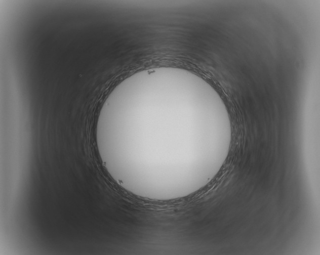 X0000102290769200807251000