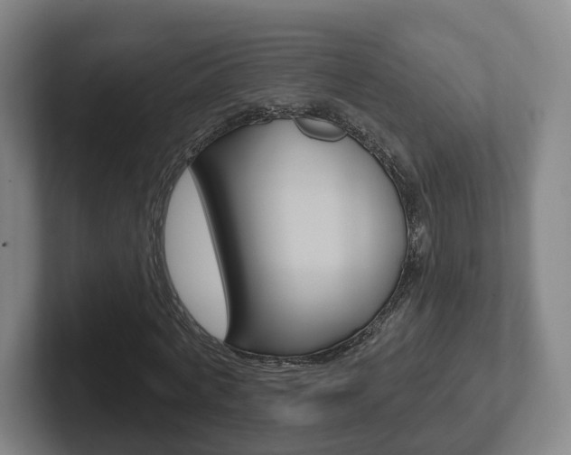 X0000102290772200807251000