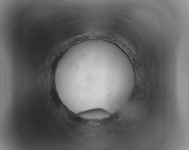 X0000102290773200807251000