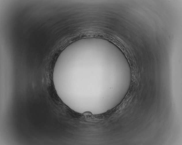 X0000102290774200807251000