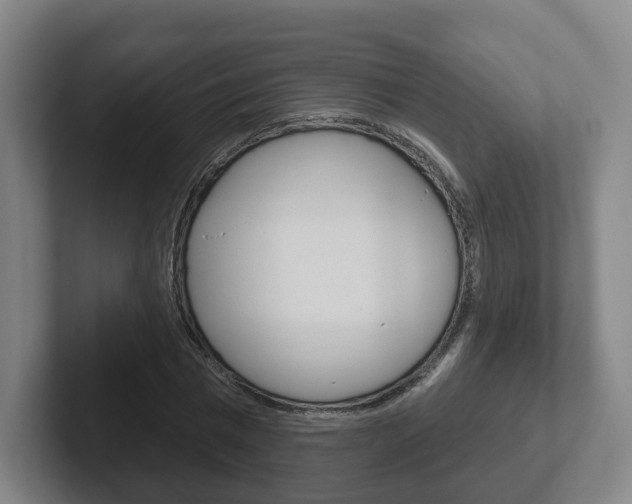 X0000102290777200807251000