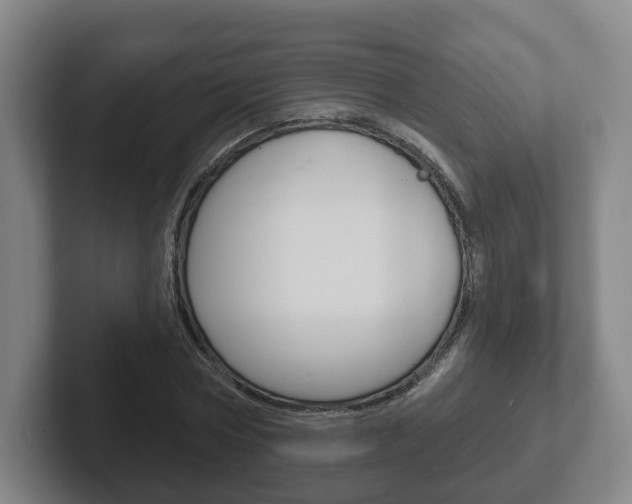 X0000102290778200807251000