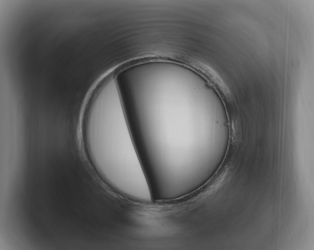 X0000102290780200807251000
