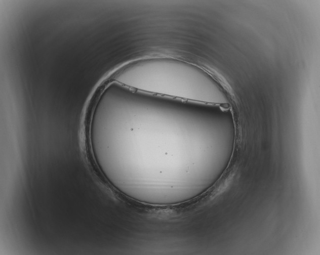 X0000102290784200807251000