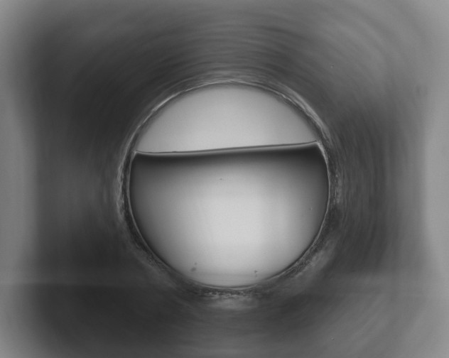 X0000102290786200807251000