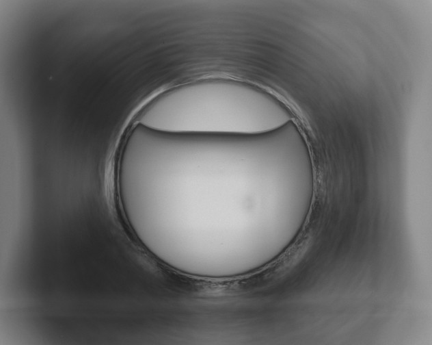 X0000102290790200807251000