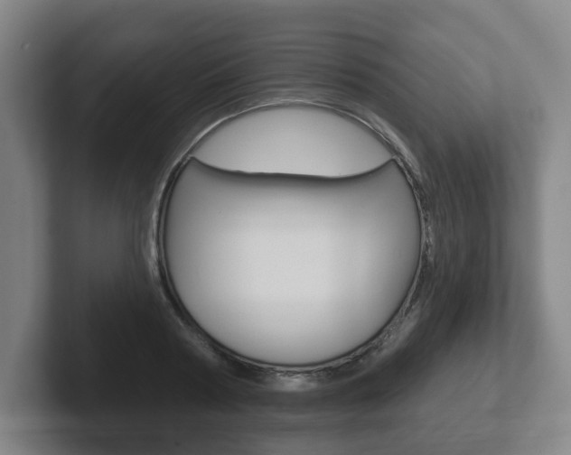 X0000102290794200807251000