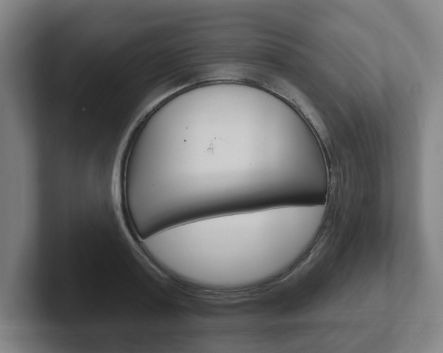 X0000102290795200807251000