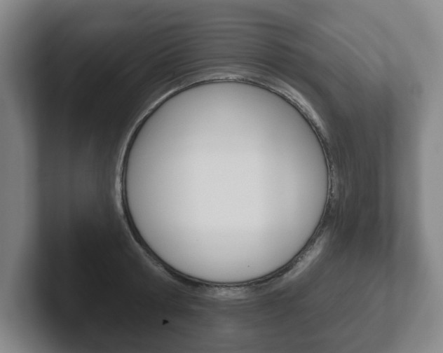 X0000102290802200807251000