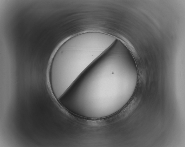 X0000102290804200807251000