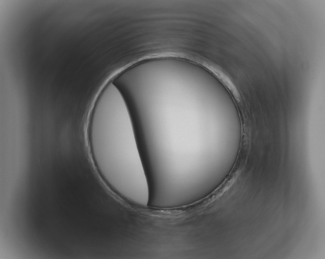 X0000102290805200807251000