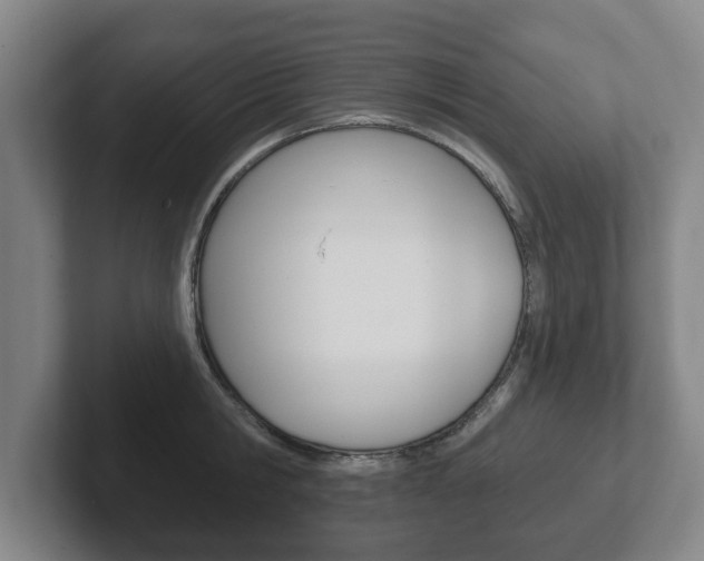 X0000102290806200807251000