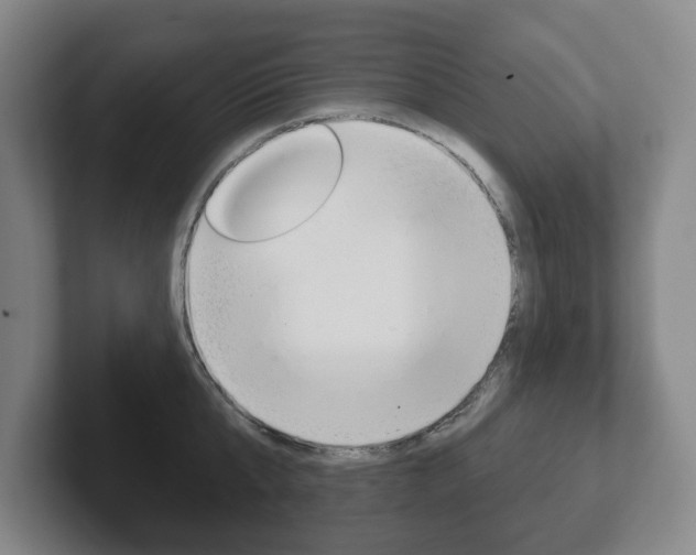 X0000102290807200807251000