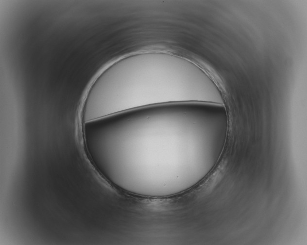 X0000102290808200807251000