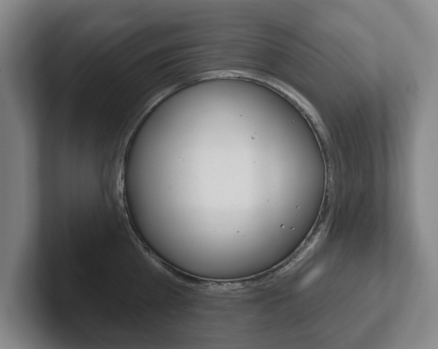 X0000102290809200807251000