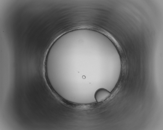 X0000102290810200807251000