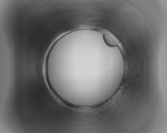 X0000102290811200807251000