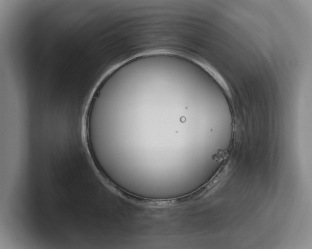 X0000102290813200807251000