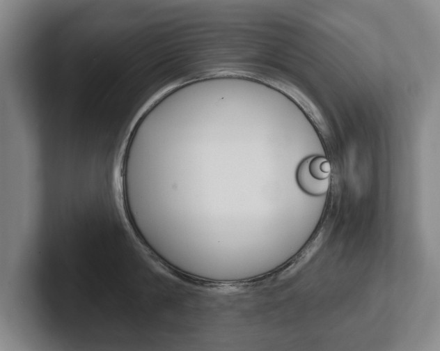 X0000102290814200807251000