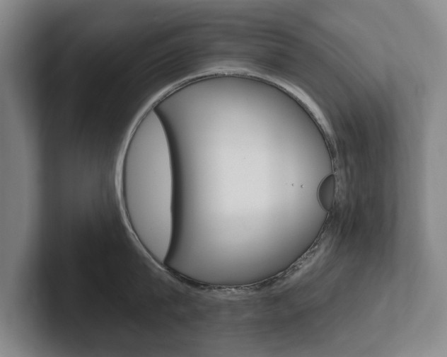X0000102290815200807251000