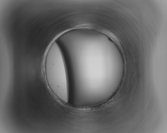 X0000102290816200807251000
