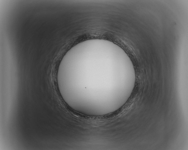 X0000102290817200807250959
