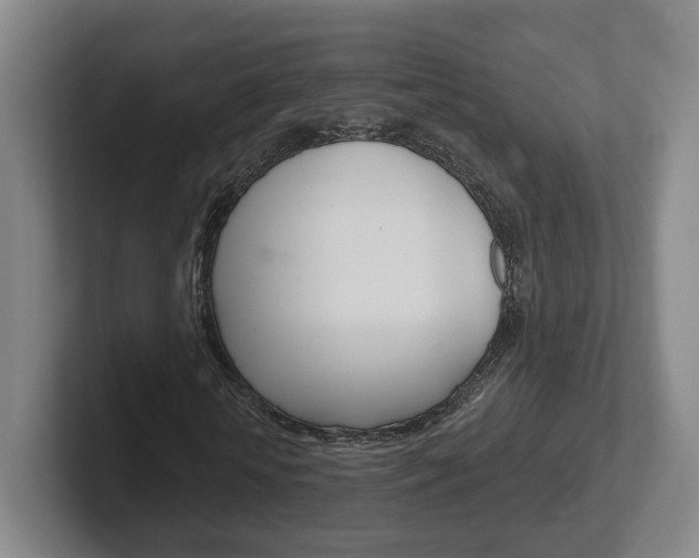 X0000102290818200807250959
