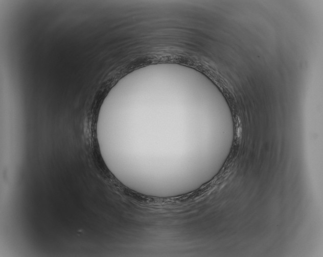 X0000102290819200807250959