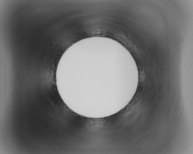 X0000102290820200807250959