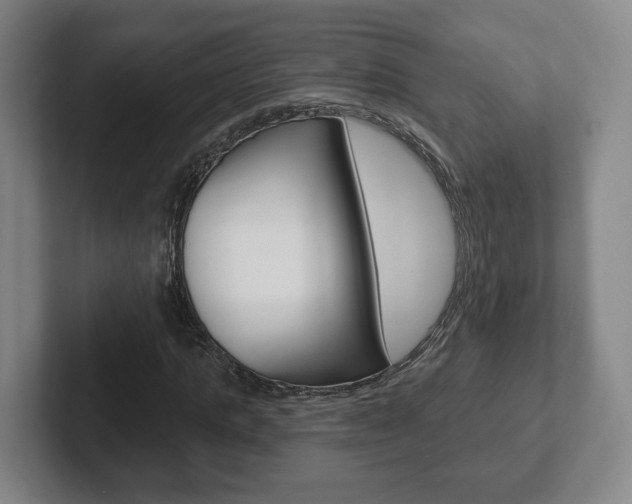 X0000102290821200807250959